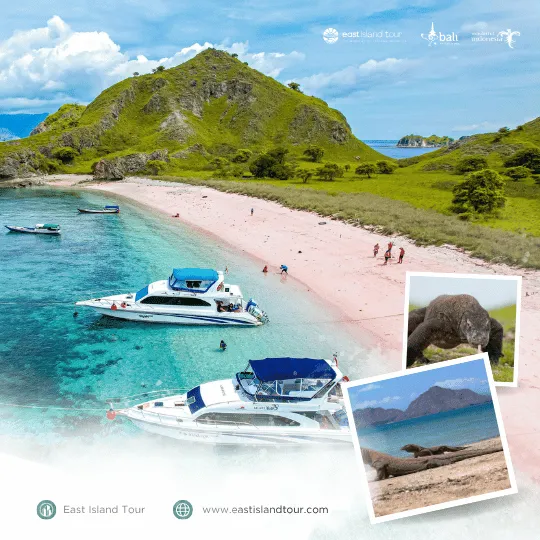 Komodo Kelimutu 4d 3N Trip