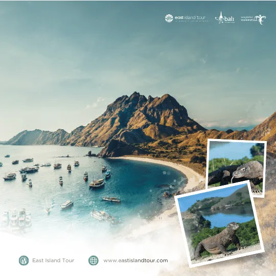 Komodo Tour 2 Days 1 Night