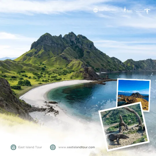 Komodo Tour 4 Days 3 Nights