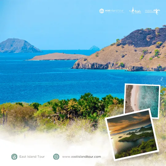 One Day Tour Komodo Island