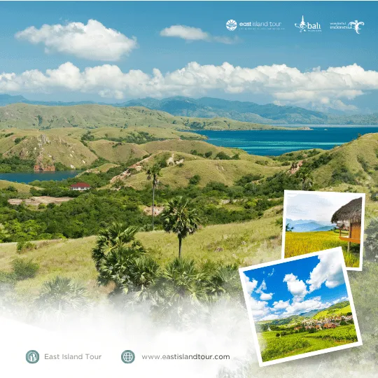 Rinca Island Tour 2 Days 1 Night